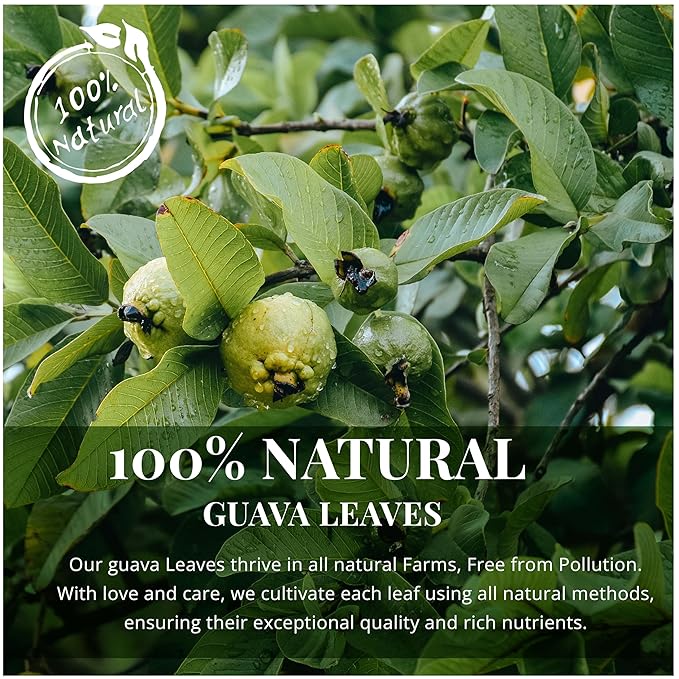 Akshit Dried Guava Leaves 100% Natural, ( Hojas De Guayaba ) | Loose Tea, Non-GMO, Vegan, Gluten-Free | Support Digestive and Immune Health  2.5 oz Akshit