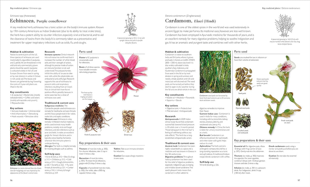 Encyclopedia of Herbal Medicine New Edition: 560 Herbs and Remedies for Common Ailments Tia Chucha's Centro Cultural & Bookstore