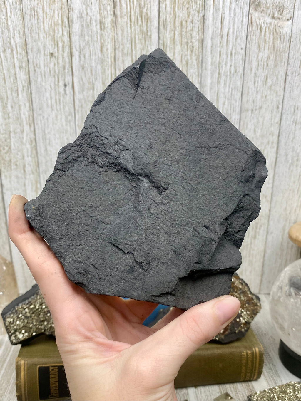 Pyrite on Shungite Raw Layered Plate | Brazil Curious Muse Crystals