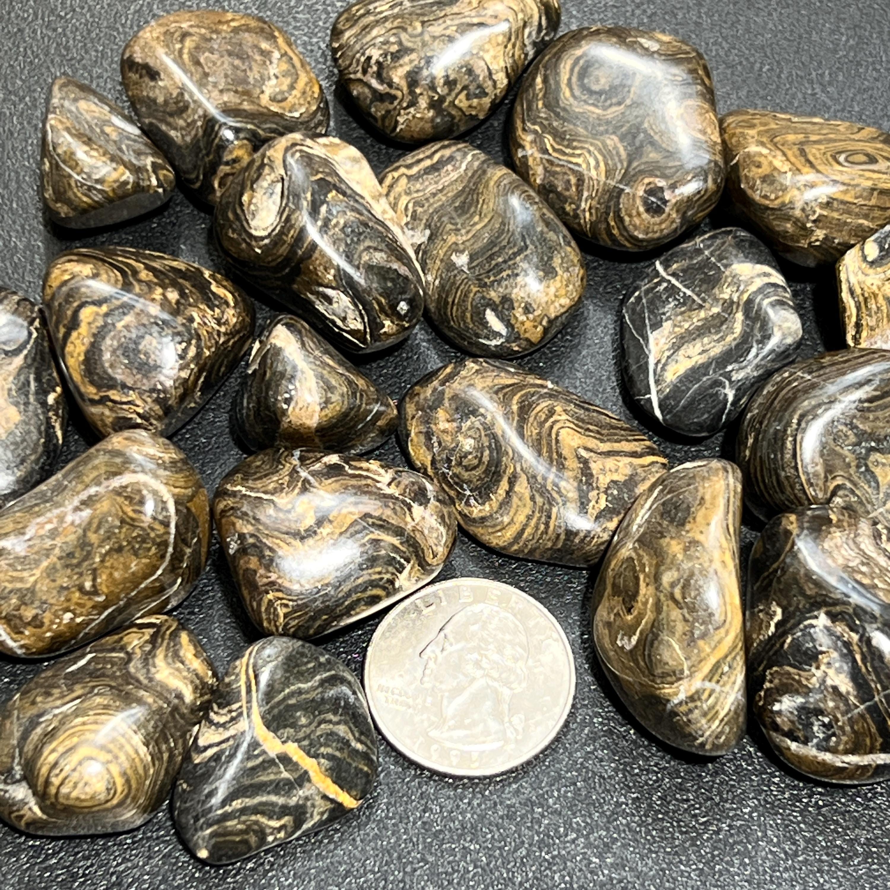 Tumbled Stromatolite Fossil Stones (By The Piece or Pound) Wholesale Amazing Crystals