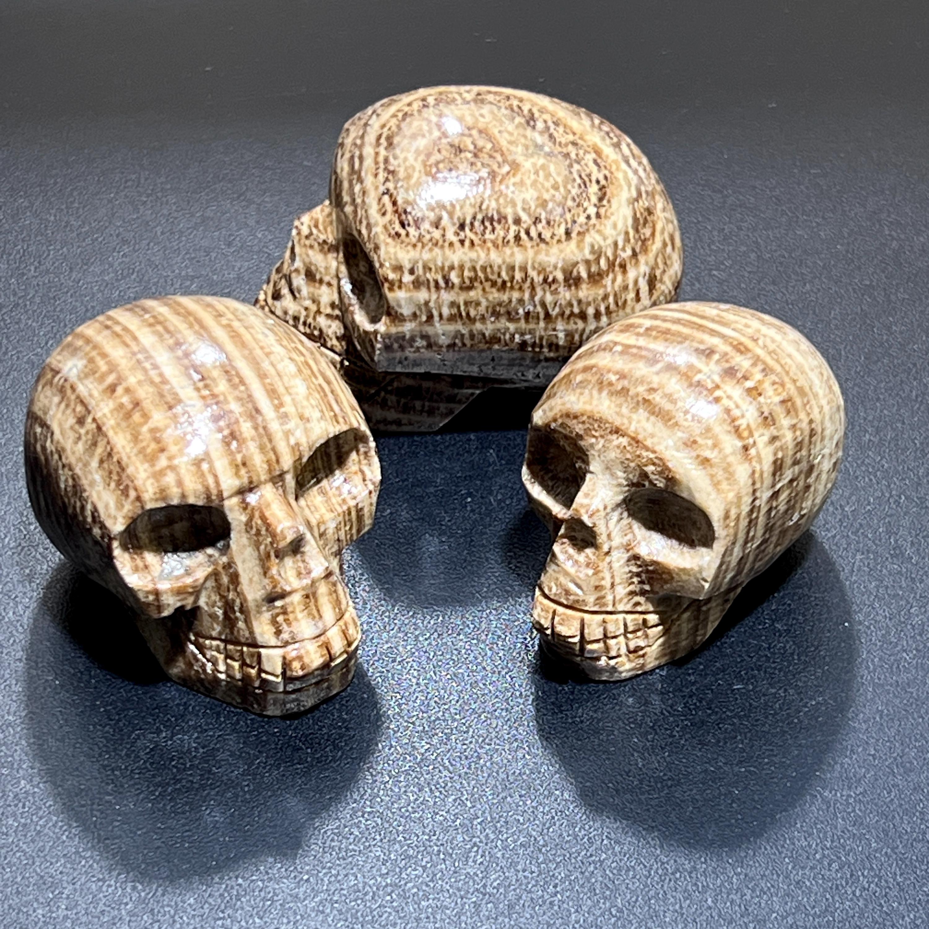 Brown Striped Aragonite Skull Carving Wholesale Amazing Crystals