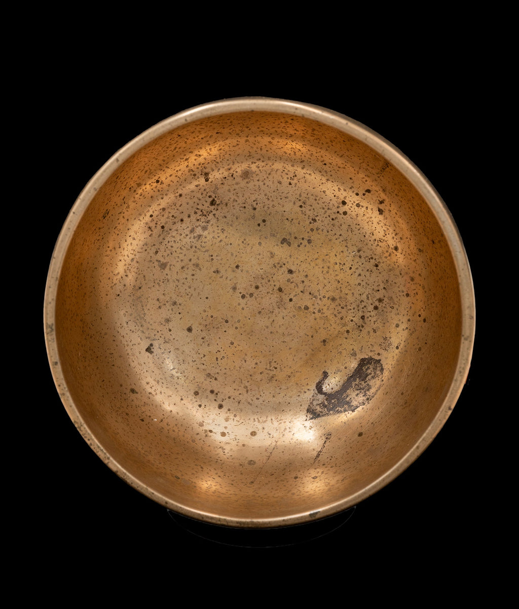 Antique Special Thick Thadobati Singing Bowl C# 270Hz 7" A16083 Bodhisattva Trading Company