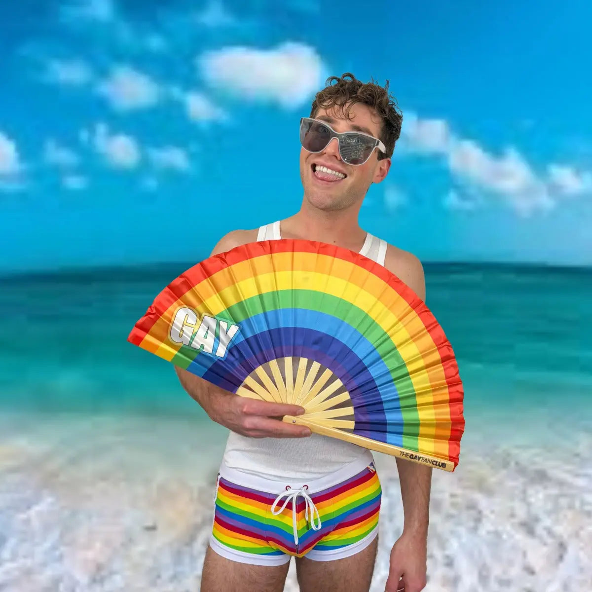 Gay All Day Fan The Gay Fan Club