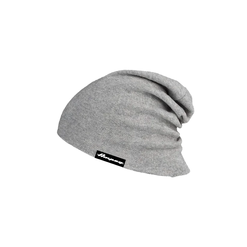 Ampeg Slouchy Beanie x Grey Pluginz Keychains
