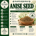 Anise Seed | Respiratory Ease & Digestive Support NYC Herbs®
