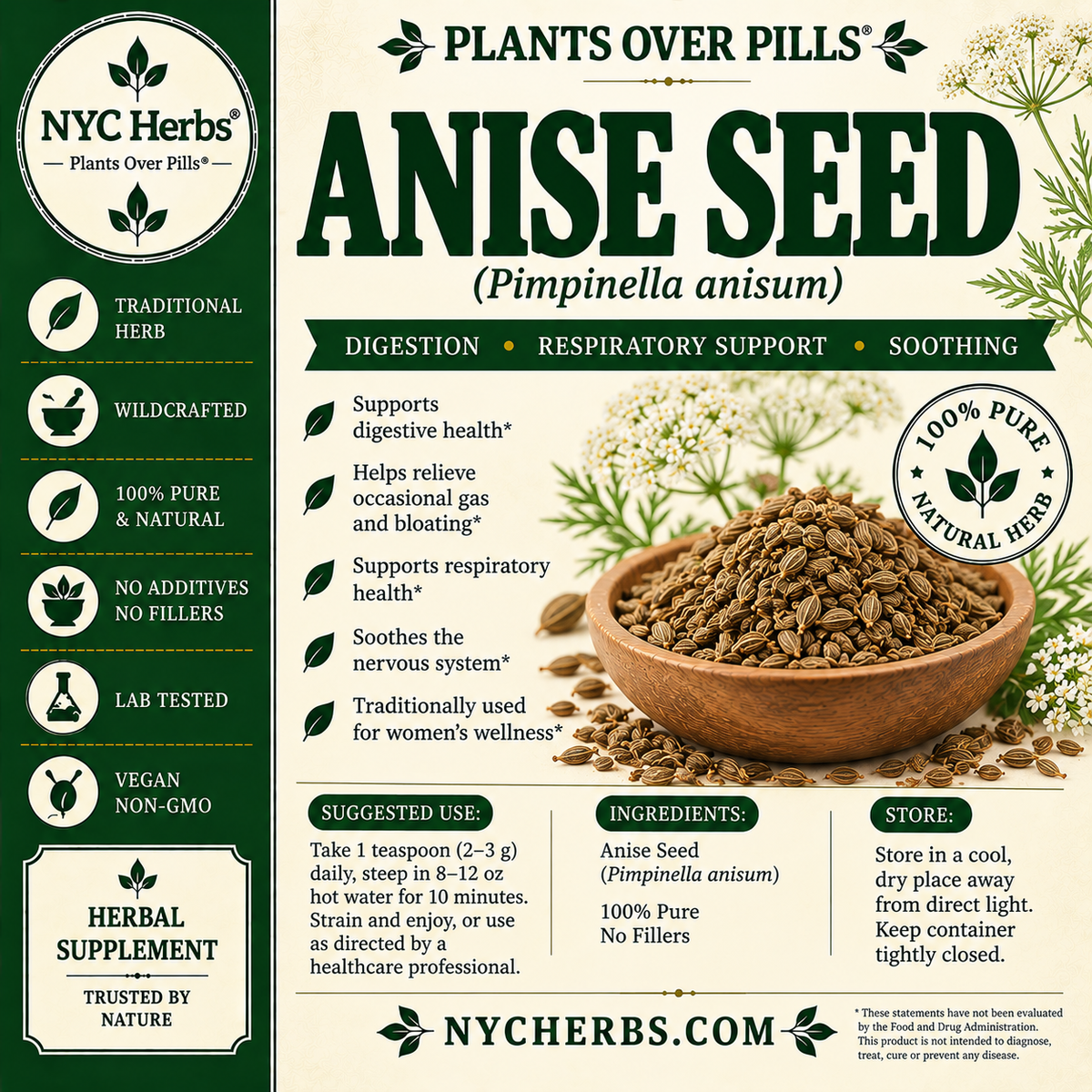 Anise Seed | Respiratory Ease & Digestive Support NYC Herbs®