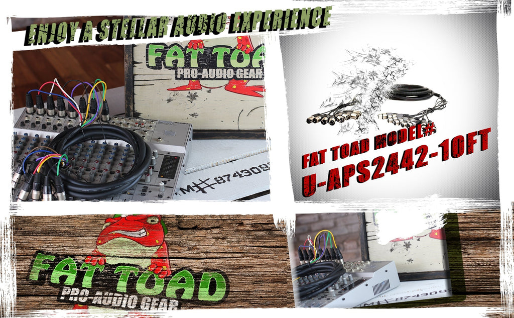 XLR Snake Cable 8-Channel 10ft (2-Pack) by FAT TOAD - Pro-Audio Shielded 3-Pin Balanced Patch Cables for Studio Stage, Live Sound & DJ Mixer GeekStands.com
