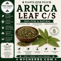 Arnica Leaf | Pain Relief & Circulation Support NYC Herbs®