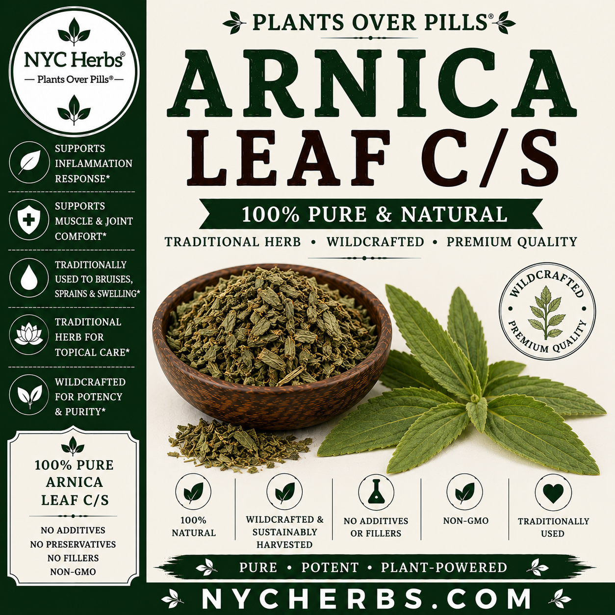 Arnica Leaf | Pain Relief & Circulation Support NYC Herbs®