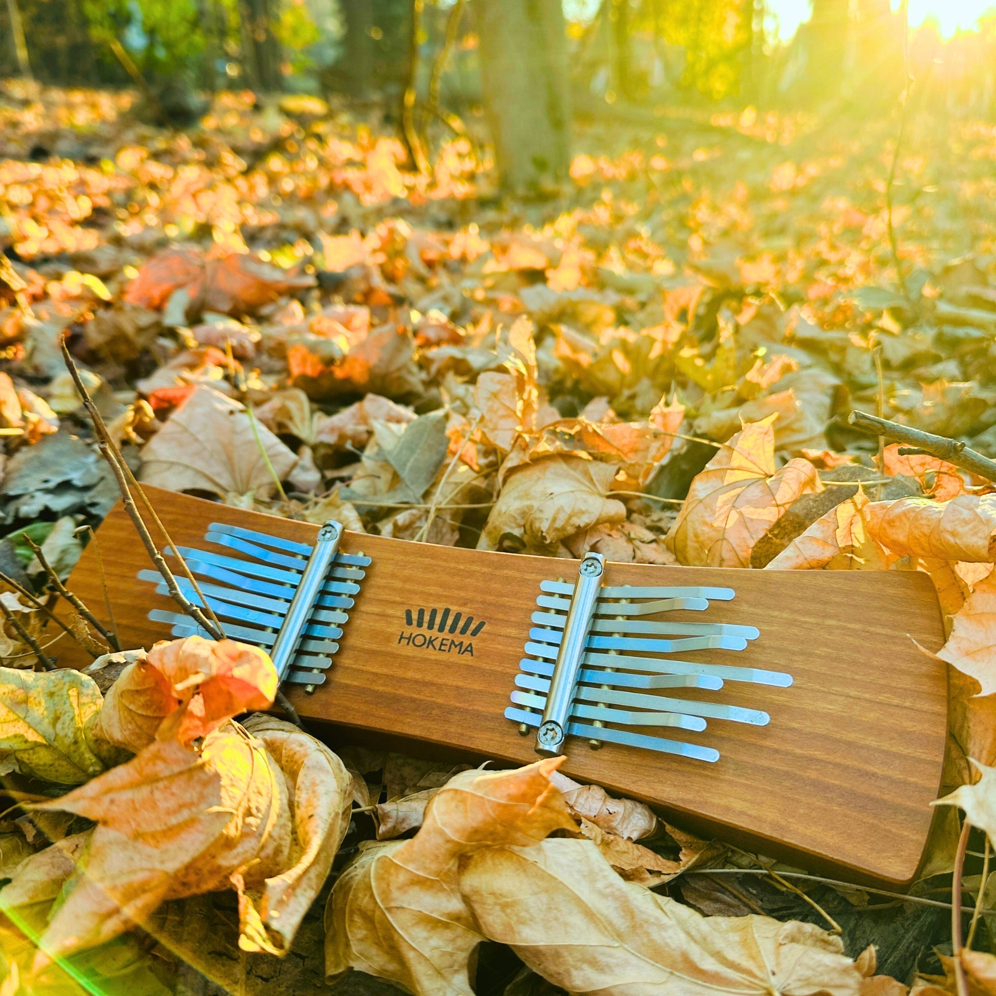 Hokema - Twin Kalimba WePlayWellTogether
