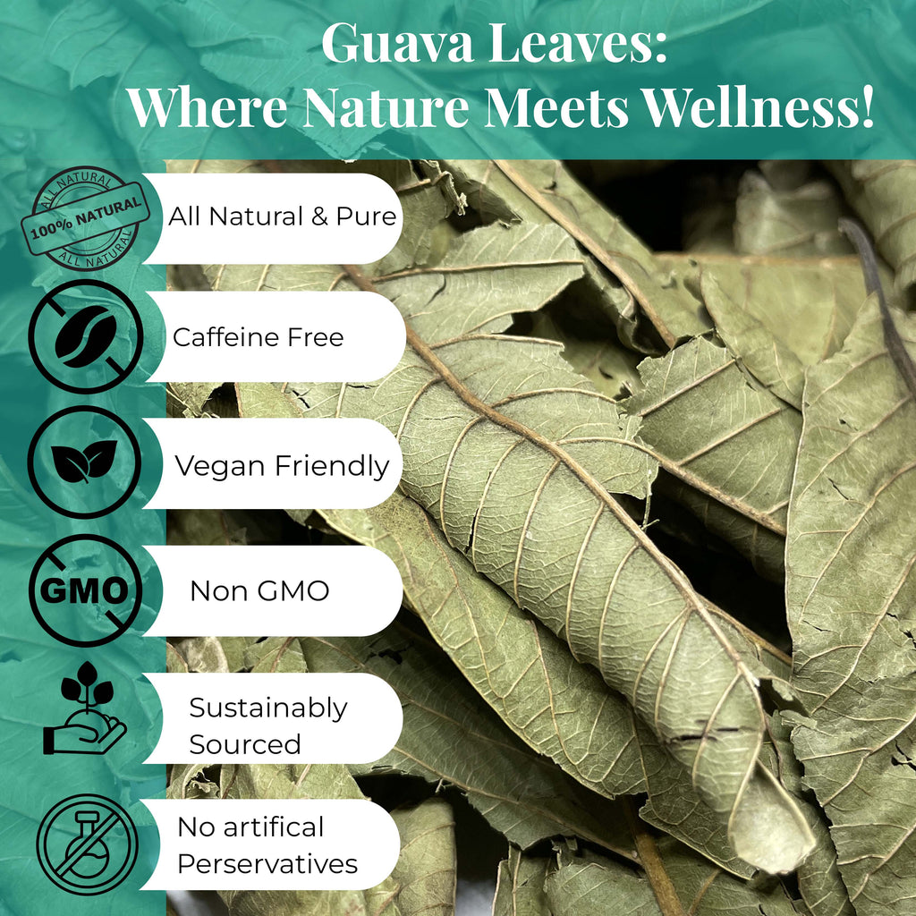Akshit Dried Guava Leaves 100% Natural, ( Hojas De Guayaba ) | Loose Tea, Non-GMO, Vegan, Gluten-Free | Support Digestive and Immune Health  2.5 oz Akshit