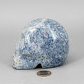 Anhydrite Crystal Skull Hand Carved Angelite Carving Crystal Destiny