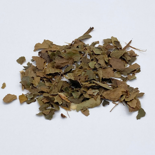 Arabica Loose Leaf Tea Novel Tea Book Shop