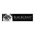 "Lucipurr" Magnetic Grill Pluginz Keychains
