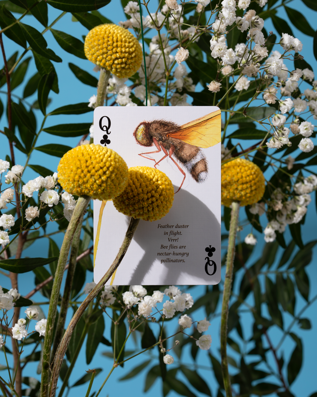 Eastern Forest Playing Cards Art of Play