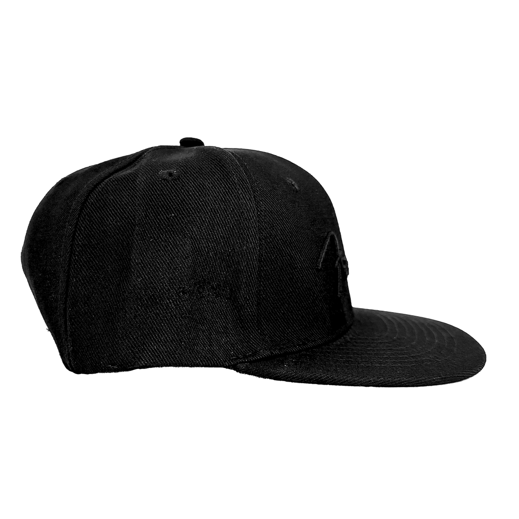 Fender Black Flat Bill Hat Pluginz Keychains