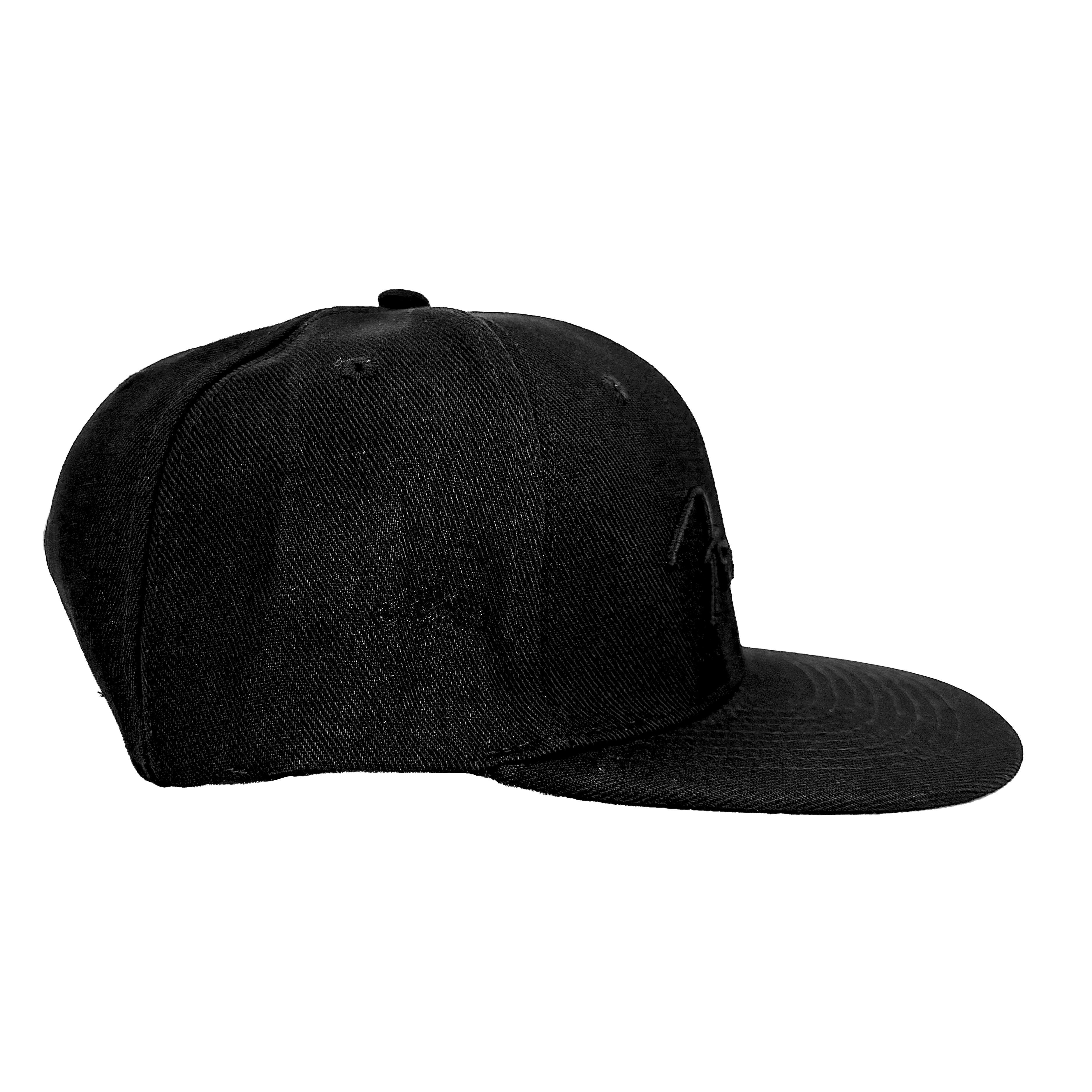 Fender Black Flat Bill Hat Pluginz Keychains