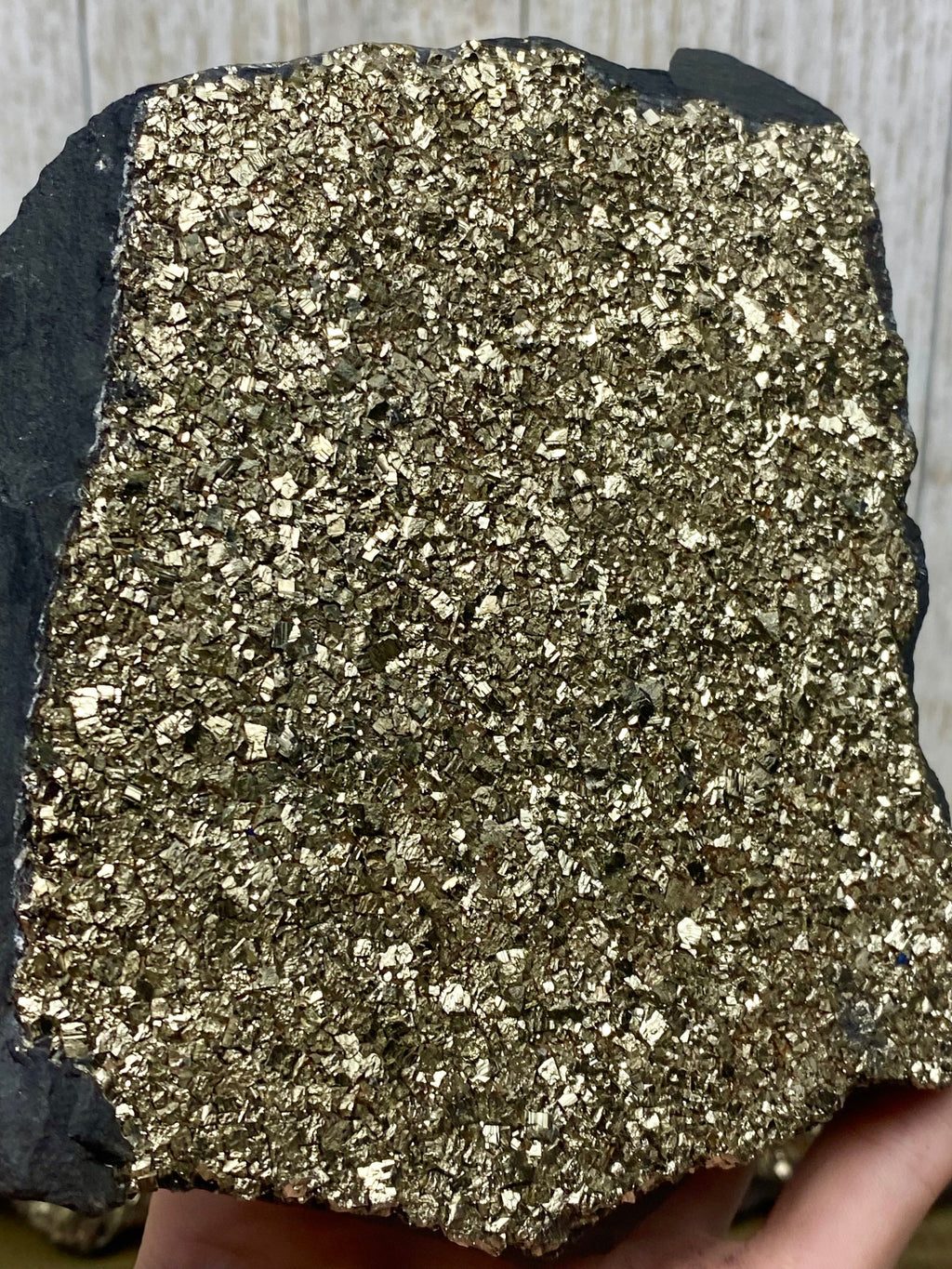 Pyrite on Shungite Raw Layered Plate | Brazil Curious Muse Crystals