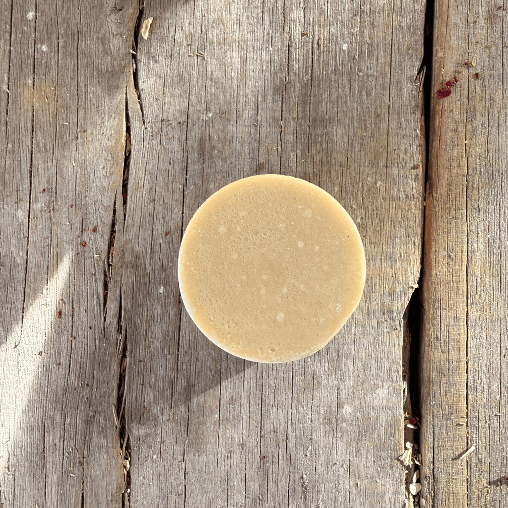 CONDITIONER BAR | CACAO & PROTEIN DEEP CONDITIONING TREATMENT Tallow Skin Co.