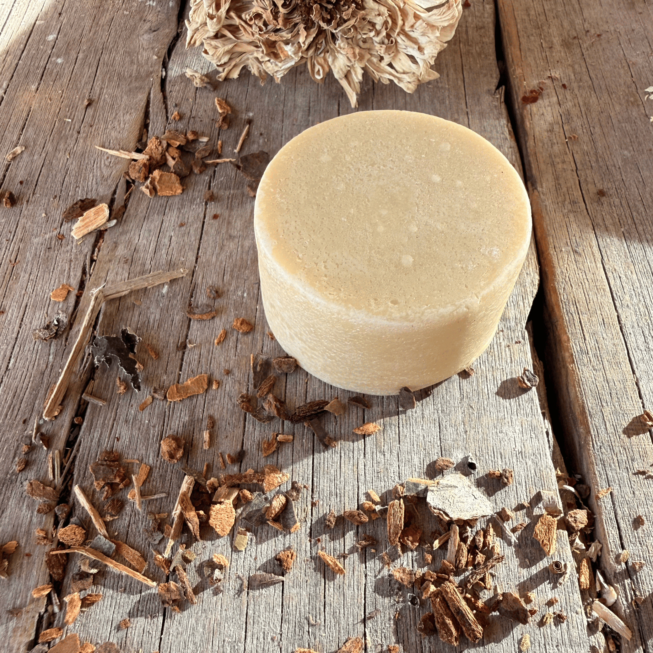 CONDITIONER BAR | CACAO & PROTEIN DEEP CONDITIONING TREATMENT Tallow Skin Co.