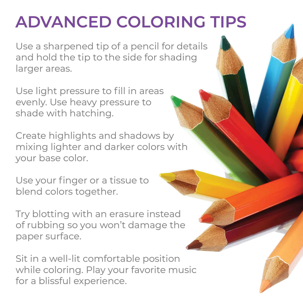 Color Wars Colored Pencil Set Pop Colors