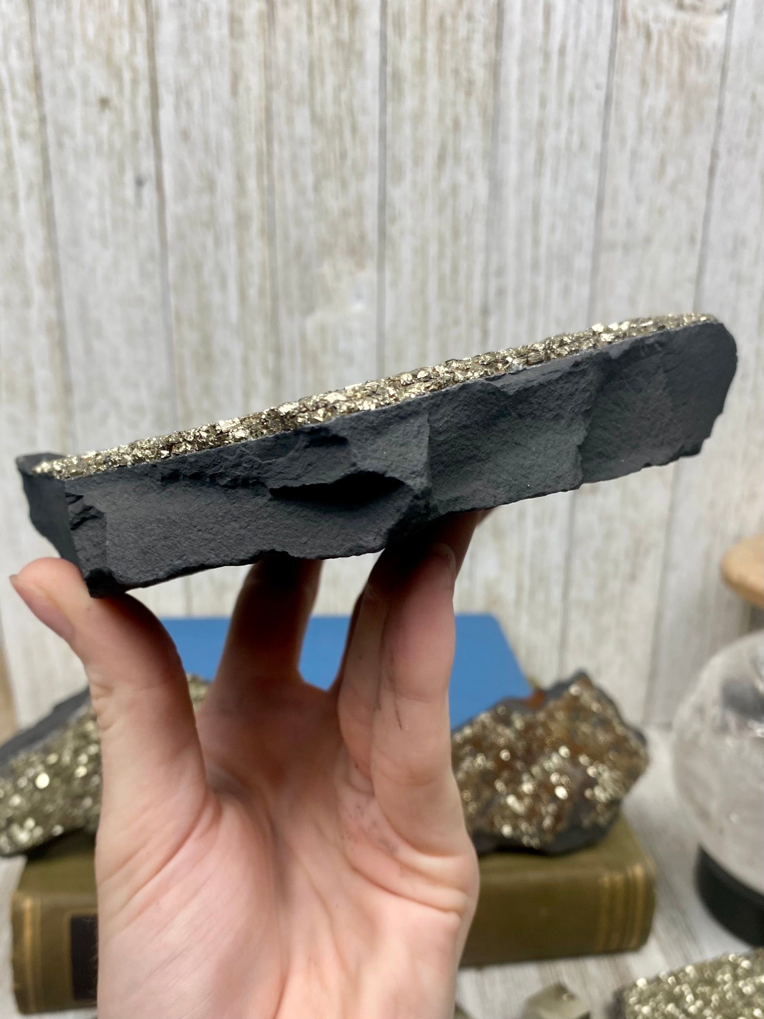 Pyrite on Shungite Raw Layered Plate | Brazil Curious Muse Crystals