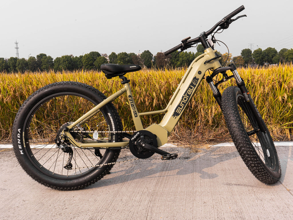 FAT-HD 2.0/Hunter X7 EUNORAU E-BIKE US