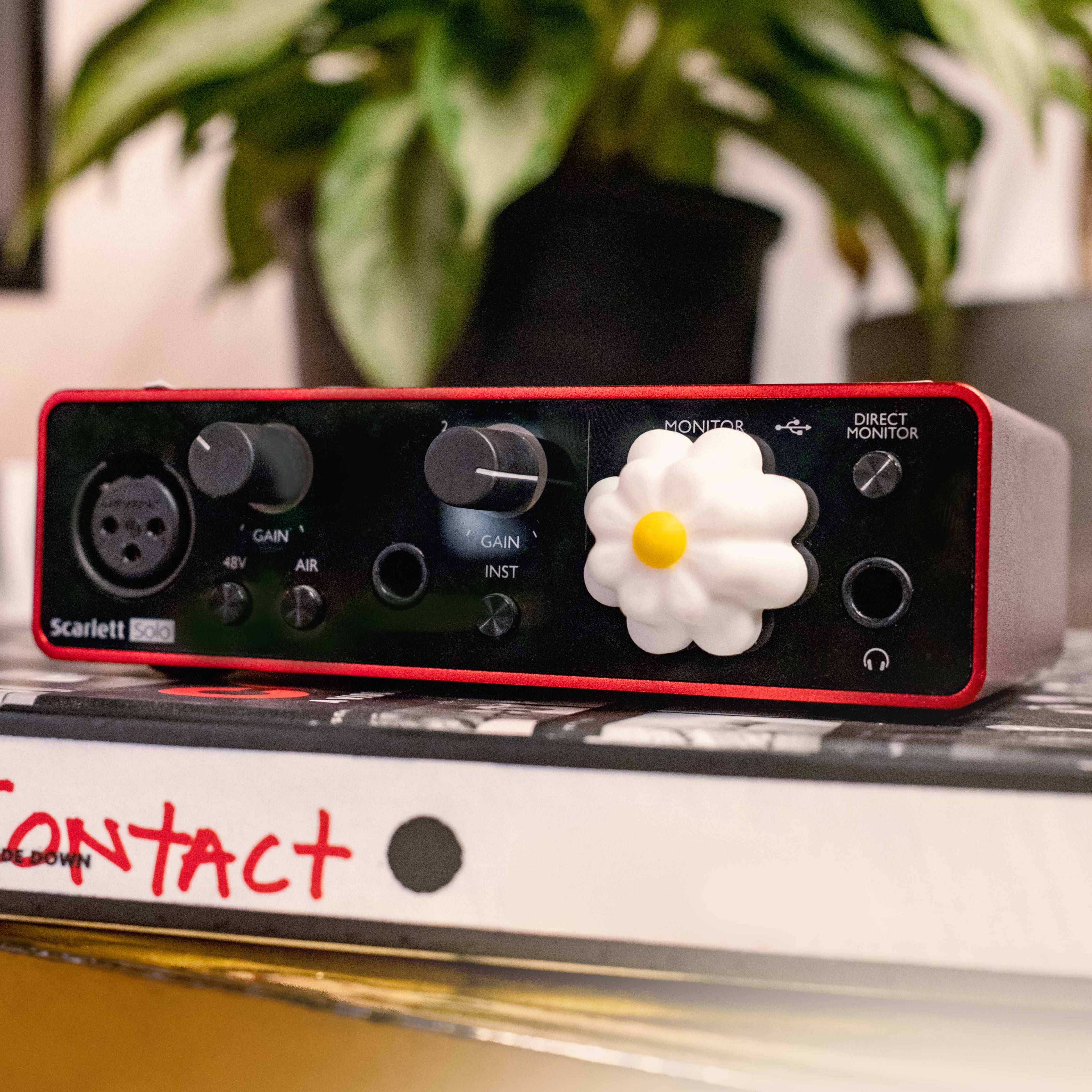 The Daisy Focusrite Knob Twist Tone