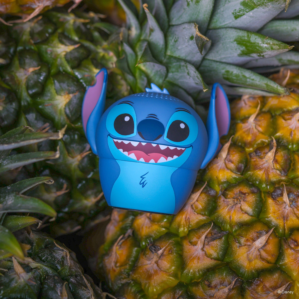 Stitch Bitty Boomers
