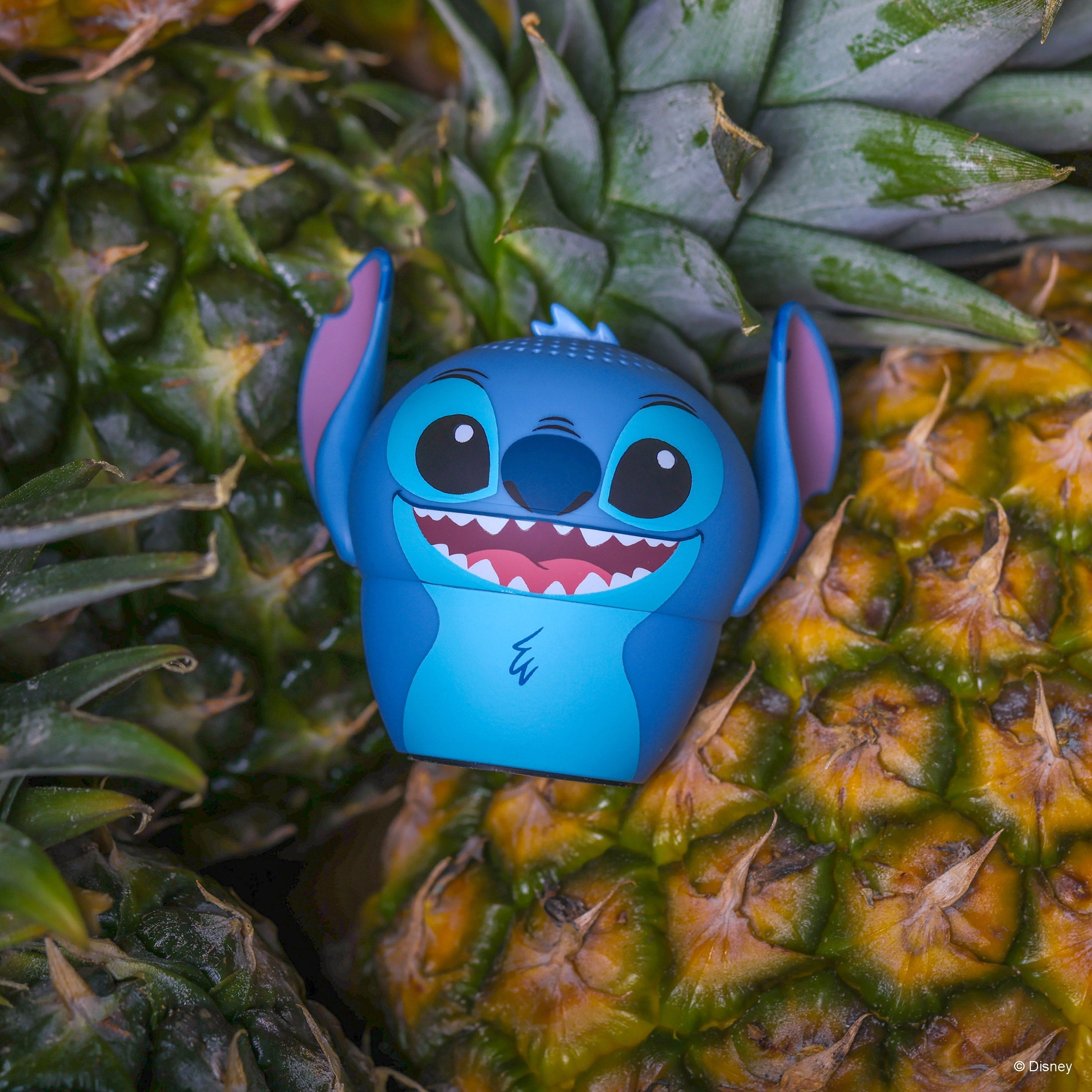 Stitch Bitty Boomers