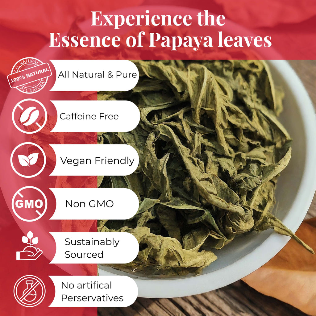 Dried Papaya Leaves 2.6 oz – Loose Leaf Herbal Tea | Akshit Akshit