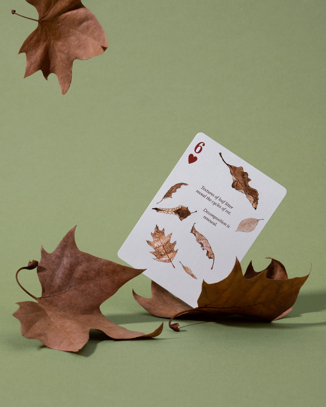 Eastern Forest Playing Cards Art of Play