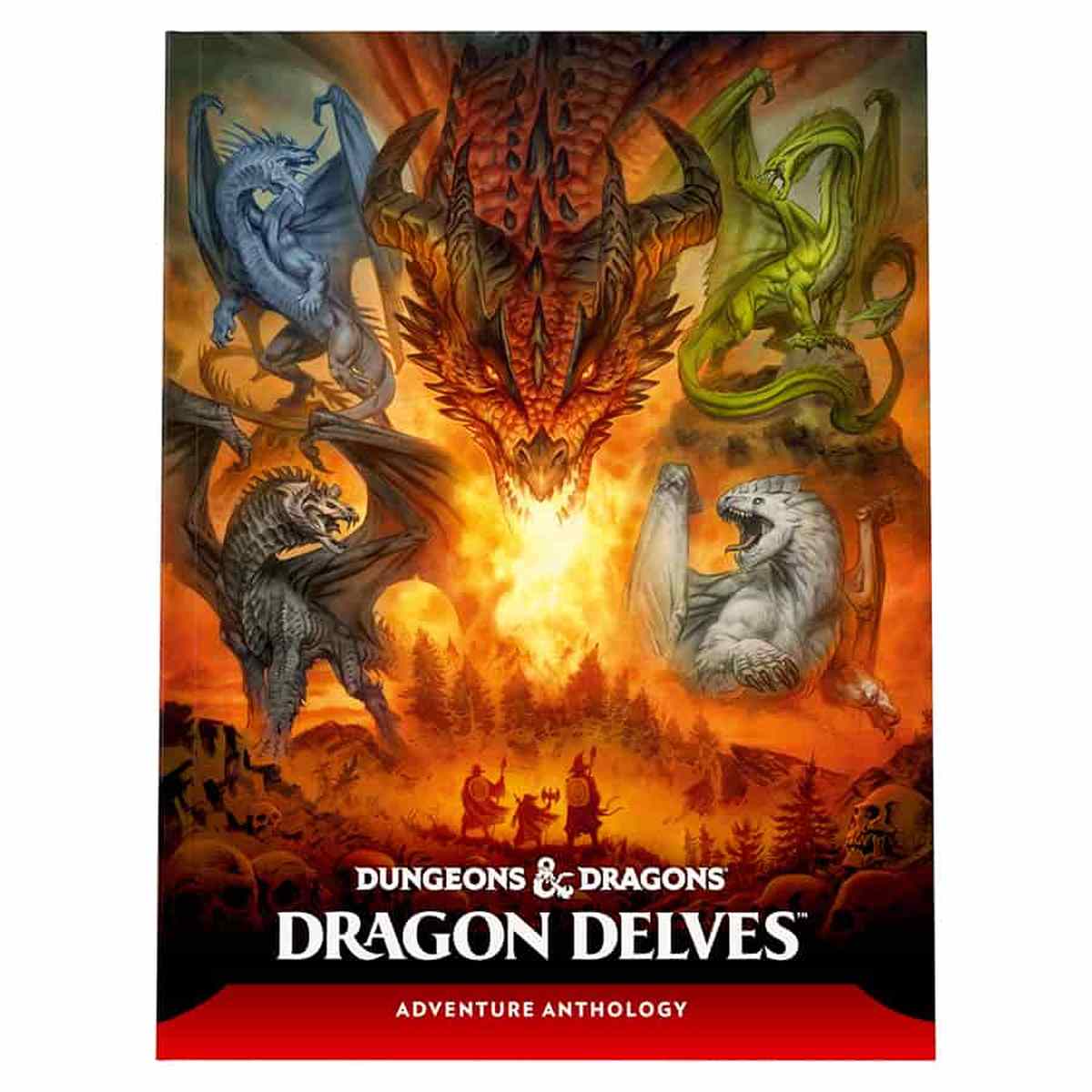 Dungeons & Dragons: Dragon Delves Contrarian's Game Cafe