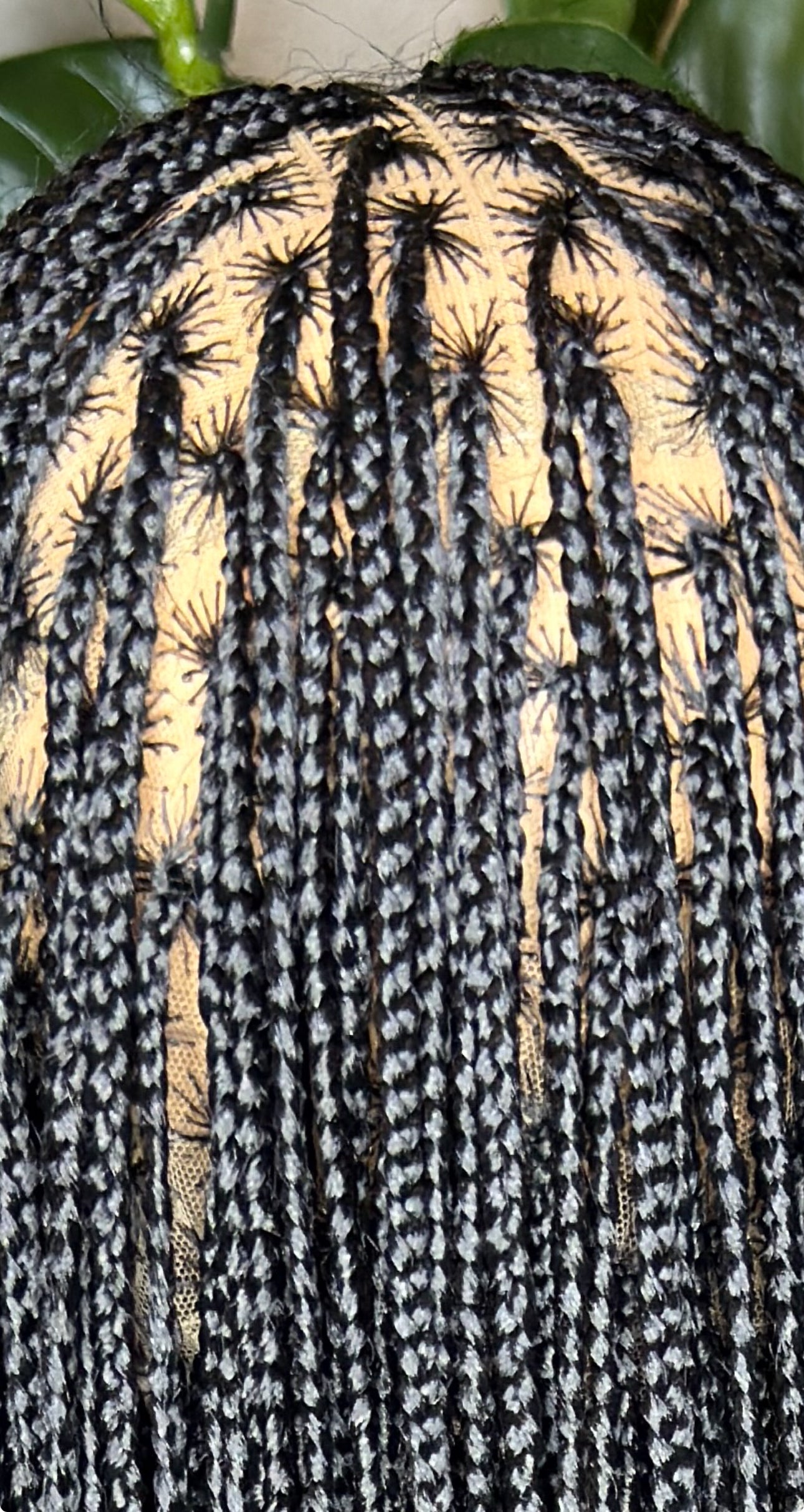 40inches knotless box braids HOL stores