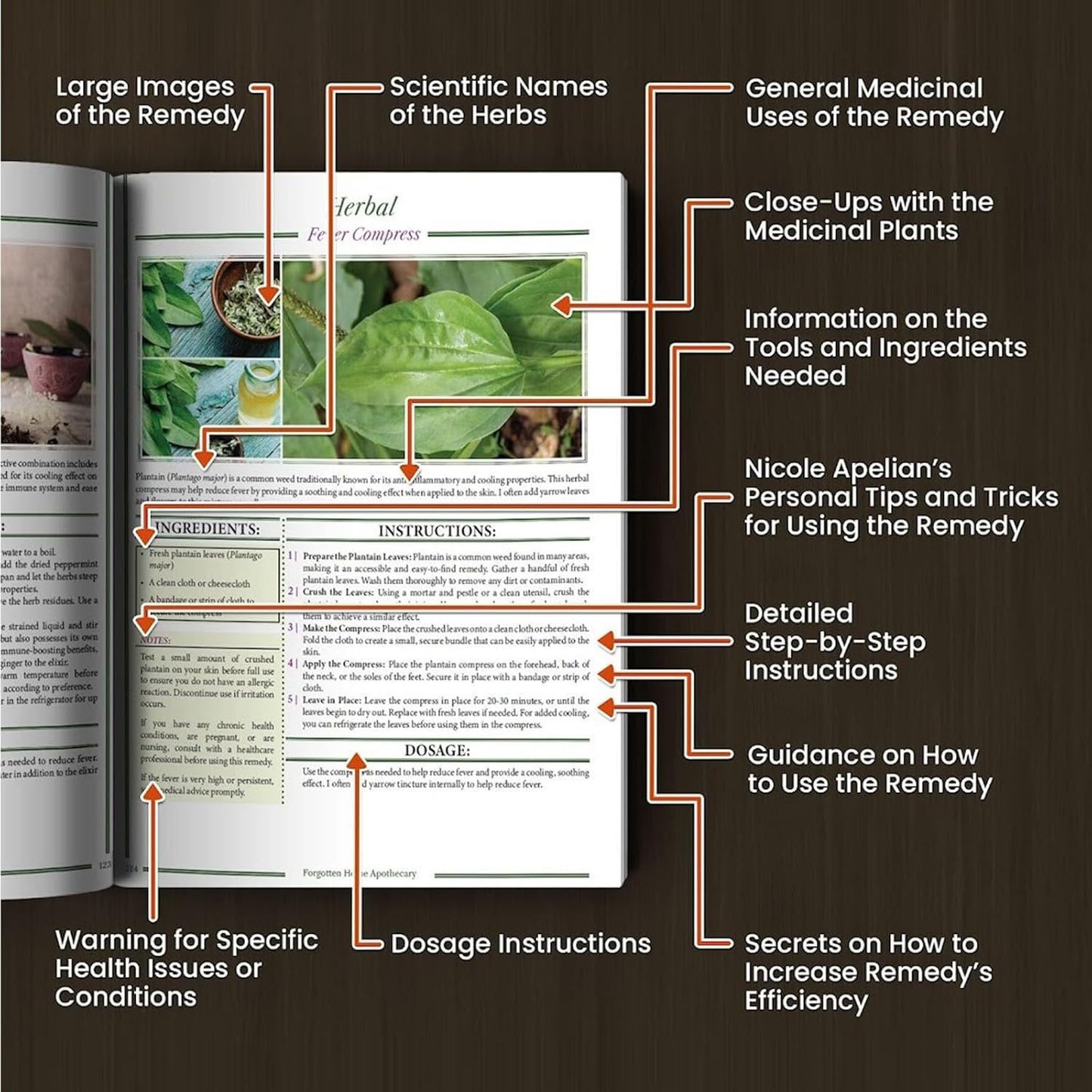 The Forgotten Family Pharmacist's Book