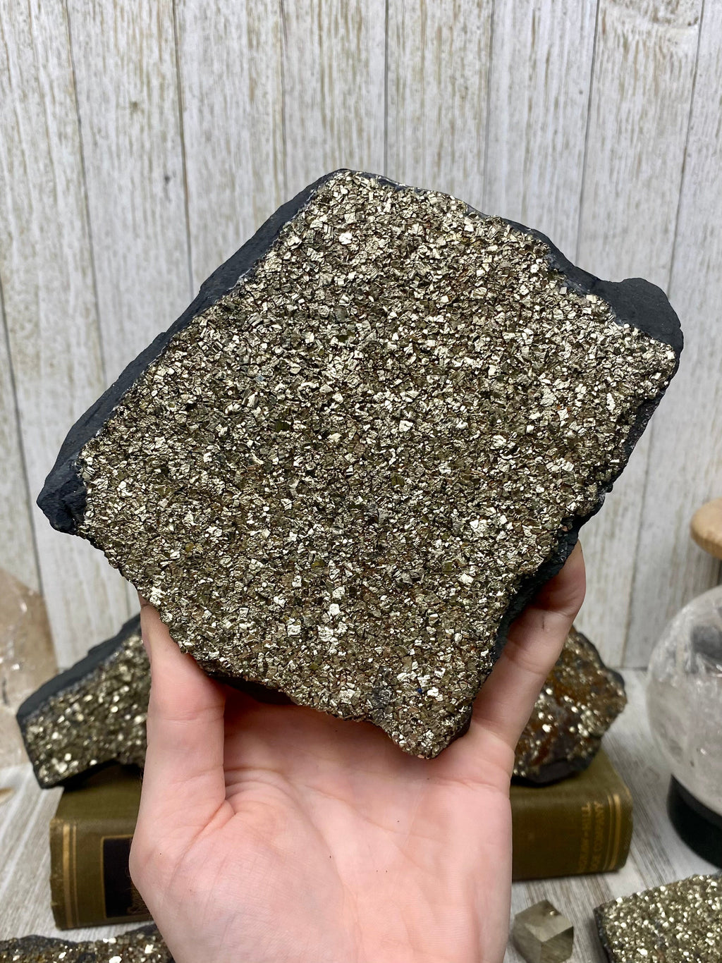 Pyrite on Shungite Raw Layered Plate | Brazil Curious Muse Crystals