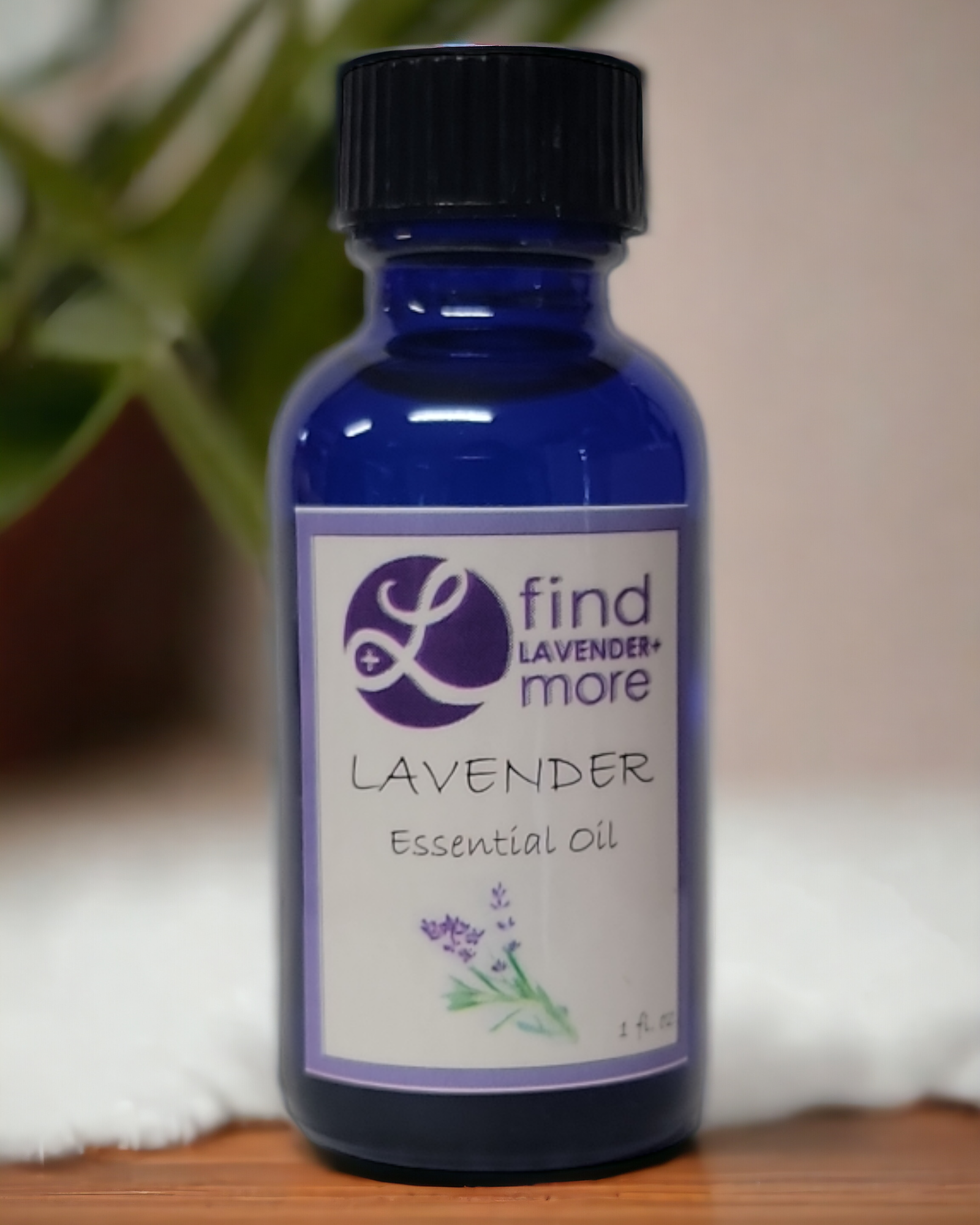 Lavender Essential Oil Pure Therapeutic Grade Aromatherapy 10ml Findlavender.com