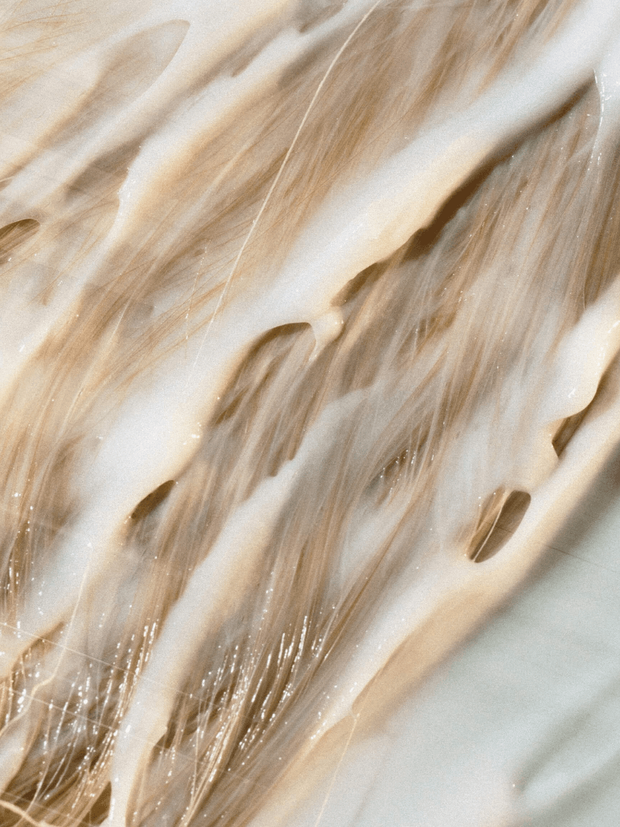 Eco Hydrating Conditioner for Dry Ends | BYMANYC ® New York BYMANYC ® New York