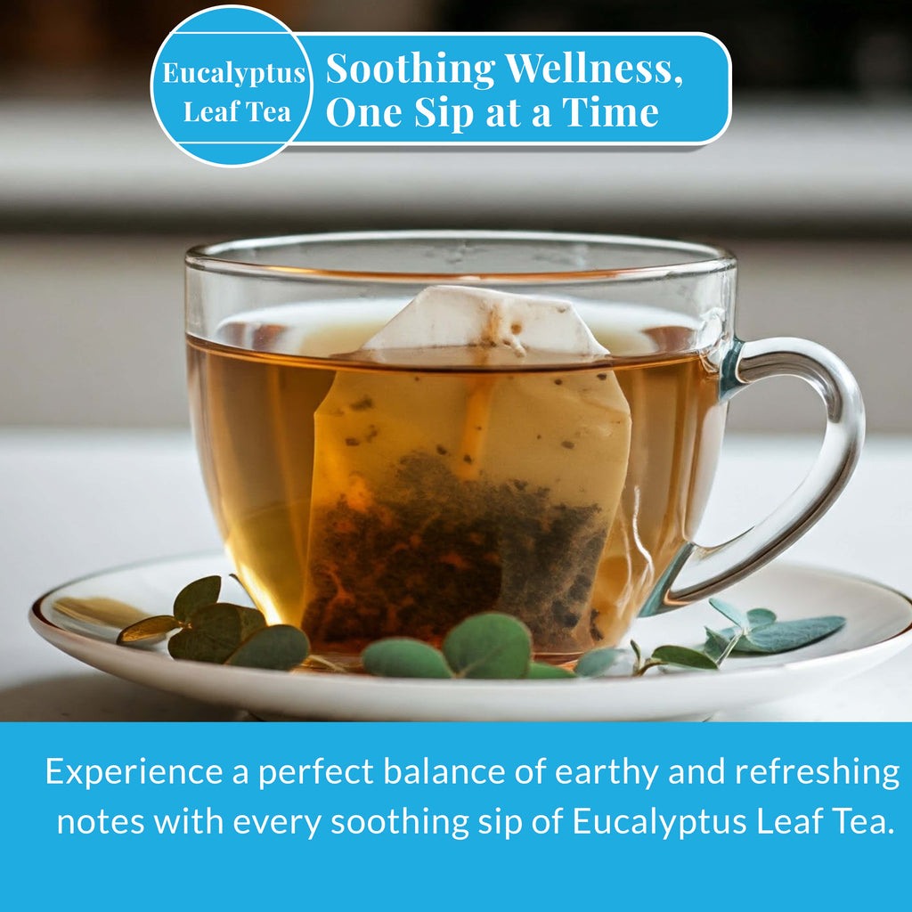 Eucalyptus Tea Bags 50 Count | Akshar Herbs Akshit
