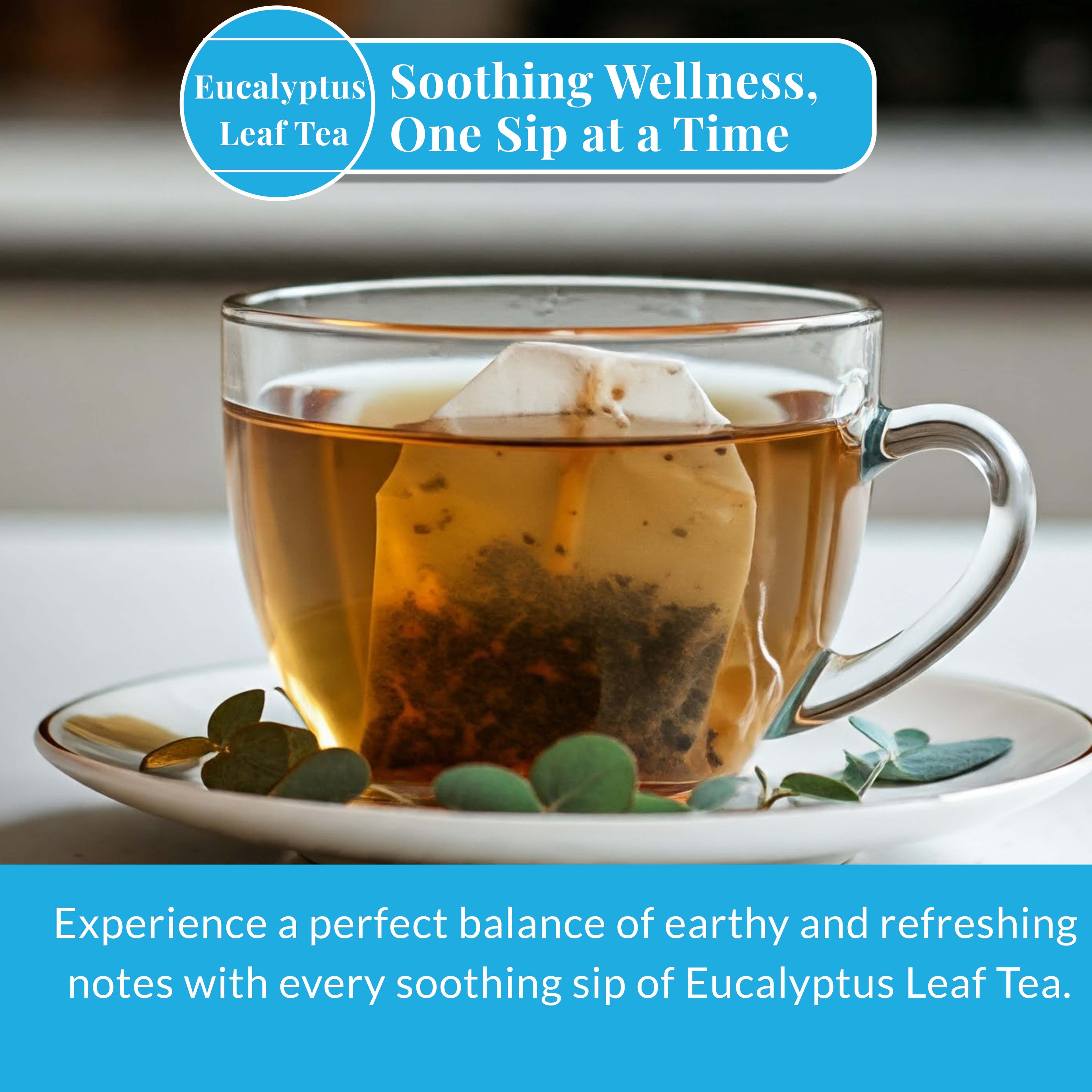 Eucalyptus Tea Bags 50 Count | Akshar Herbs Akshit