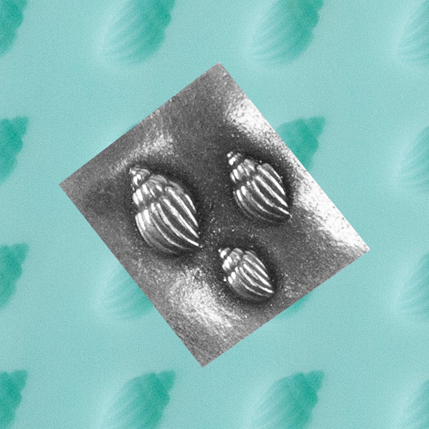 Finishing Touches Mold - Conch Shell Cool Tools