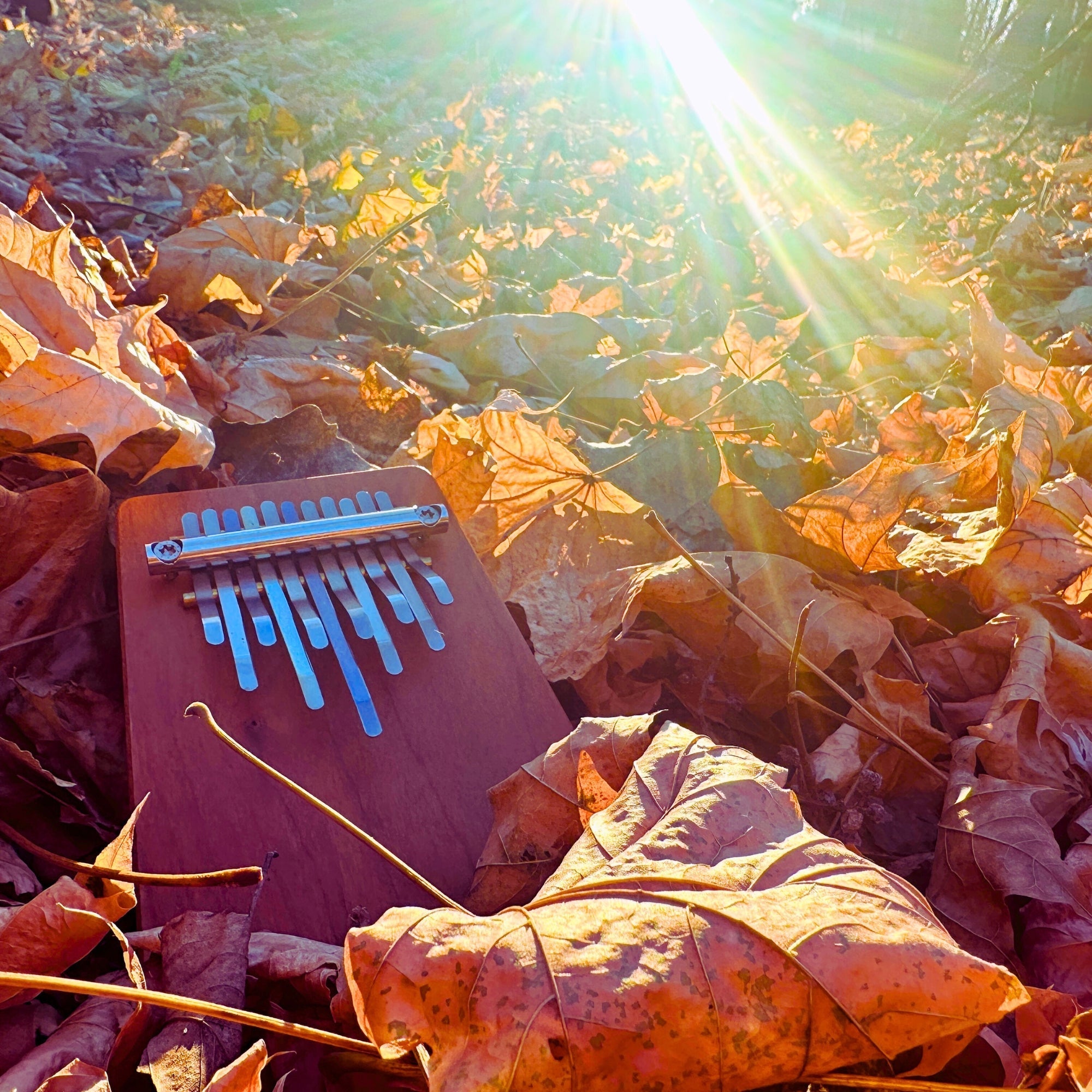 Hokema - B11 Kalimba Melody WePlayWellTogether