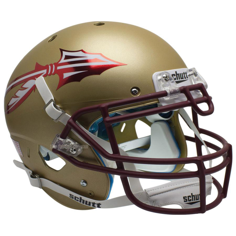 Florida State Seminoles College Football Collectible Mini Helmet - Picture Inside - FANZ Collectibles Fanz Collectibles