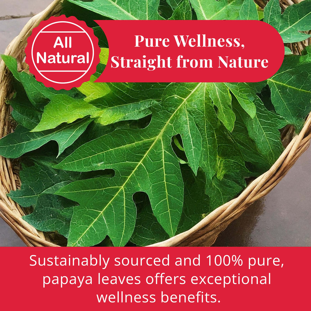 Dried Papaya Leaves 2.6 oz – Loose Leaf Herbal Tea | Akshit Akshit