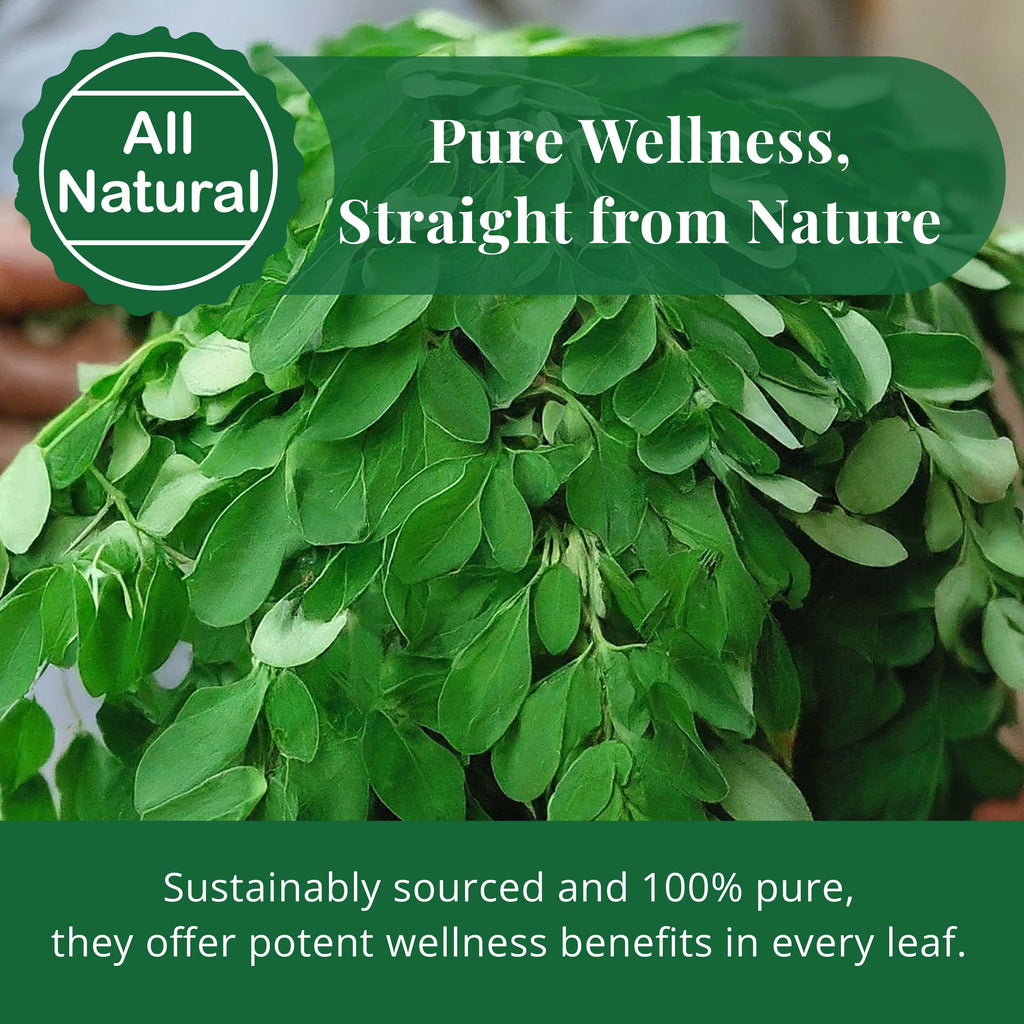 Akshit Moringa (Oleifera) Tea Leaves – Herbal Tea, 100% Natural Moringa Leaves, Boosts Energy & Immunity - 2.6 oz Akshit