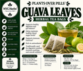 Guava Leaves NYC Herbs®