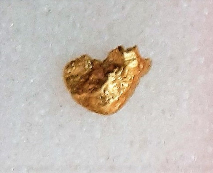 Alaskan Gold Nugget Genuine Yukon Small 22k .1g Fine rocksolidfossils