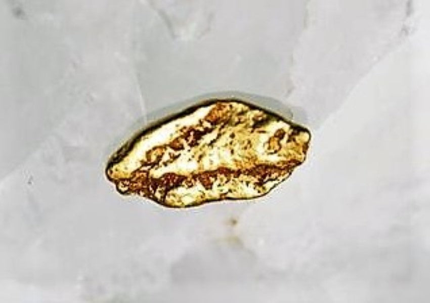 Alaskan Gold Nugget Genuine Yukon Small 22k .1g Fine rocksolidfossils