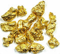 Alaskan Gold Nugget Genuine Yukon Small 22k .05g Fine rocksolidfossils