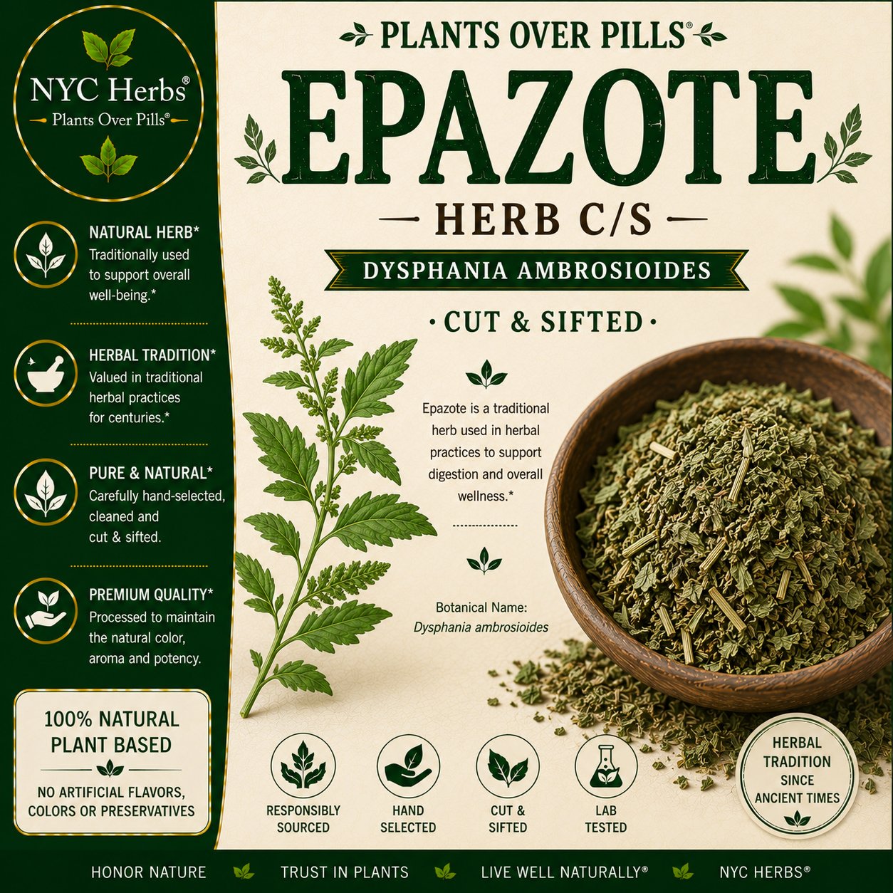 Epazote | Digestive Cleanser & Parasite Support NYC Herbs®